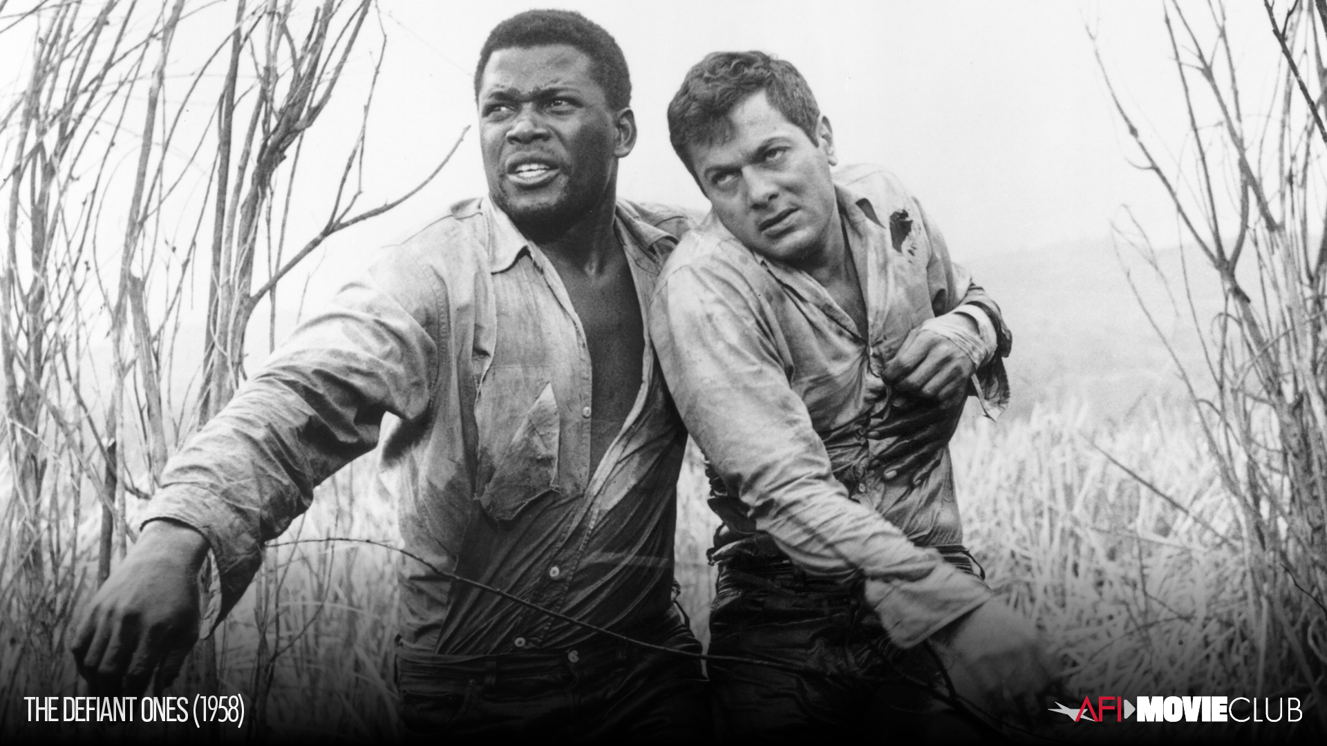 The Defiant Ones Film Still - Tony Curtis and Sidney Poitier