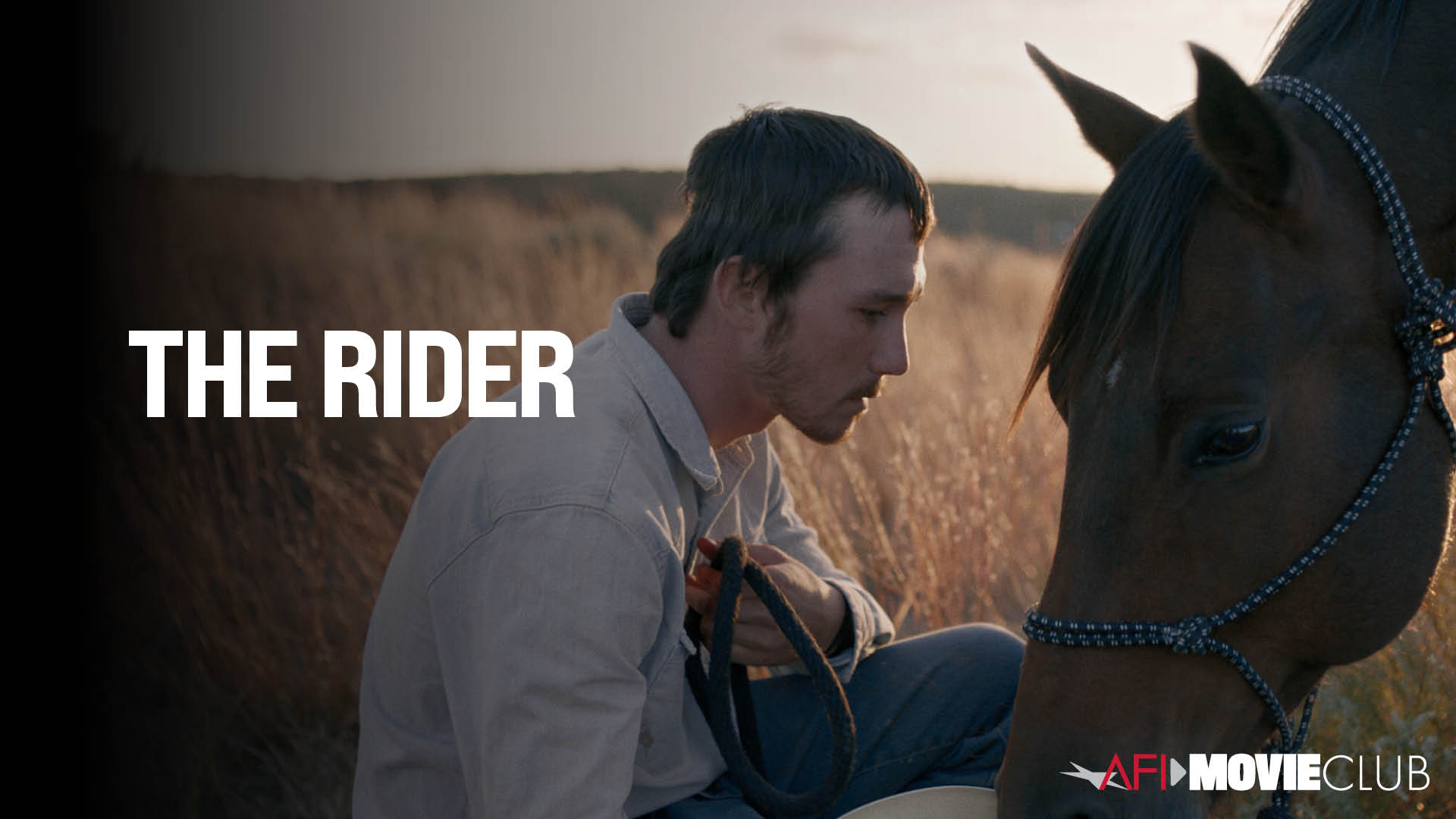 The Rider Film Still - Brady Jandreau