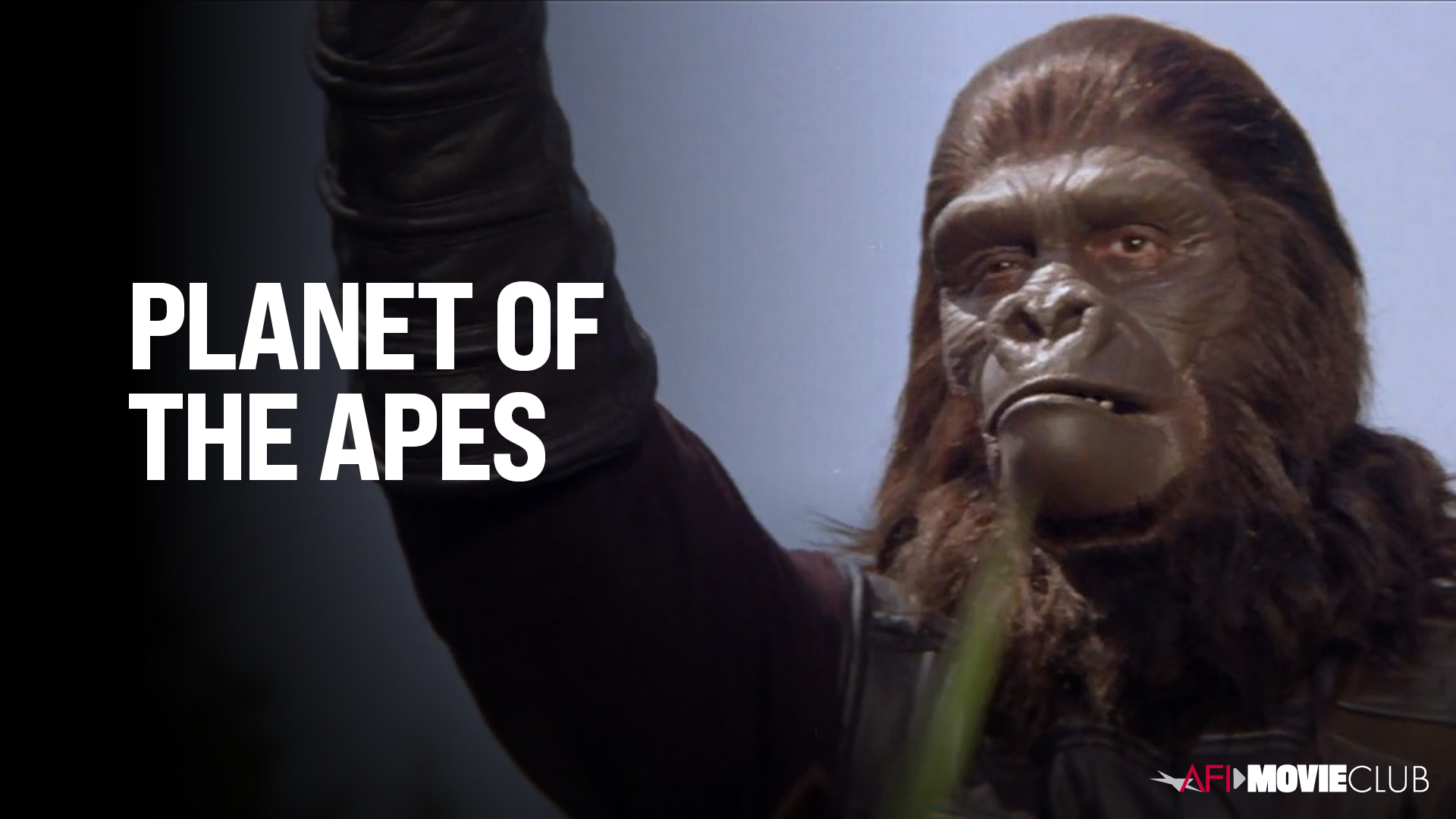 Planet of the Apes Film Still