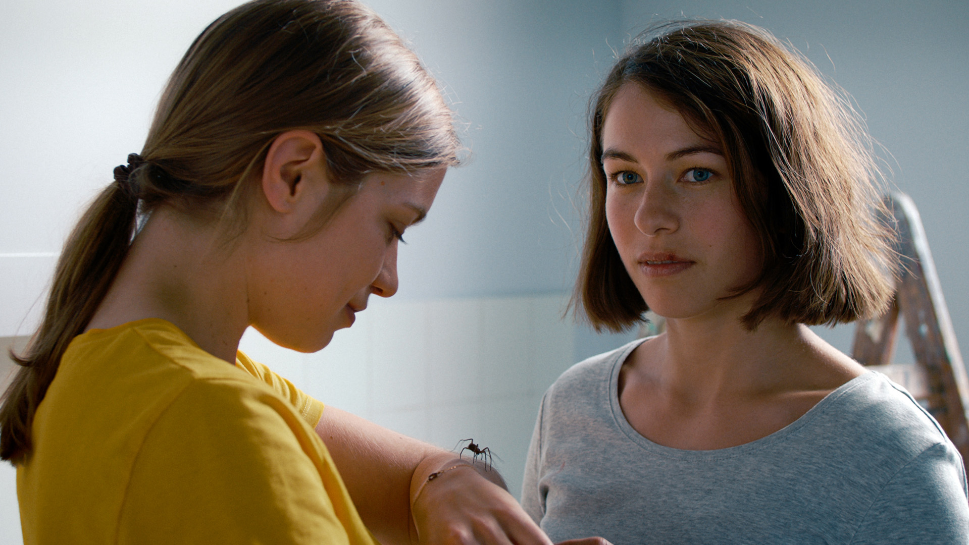 SELECT-THE-GIRL-AND-THE-SPIDER