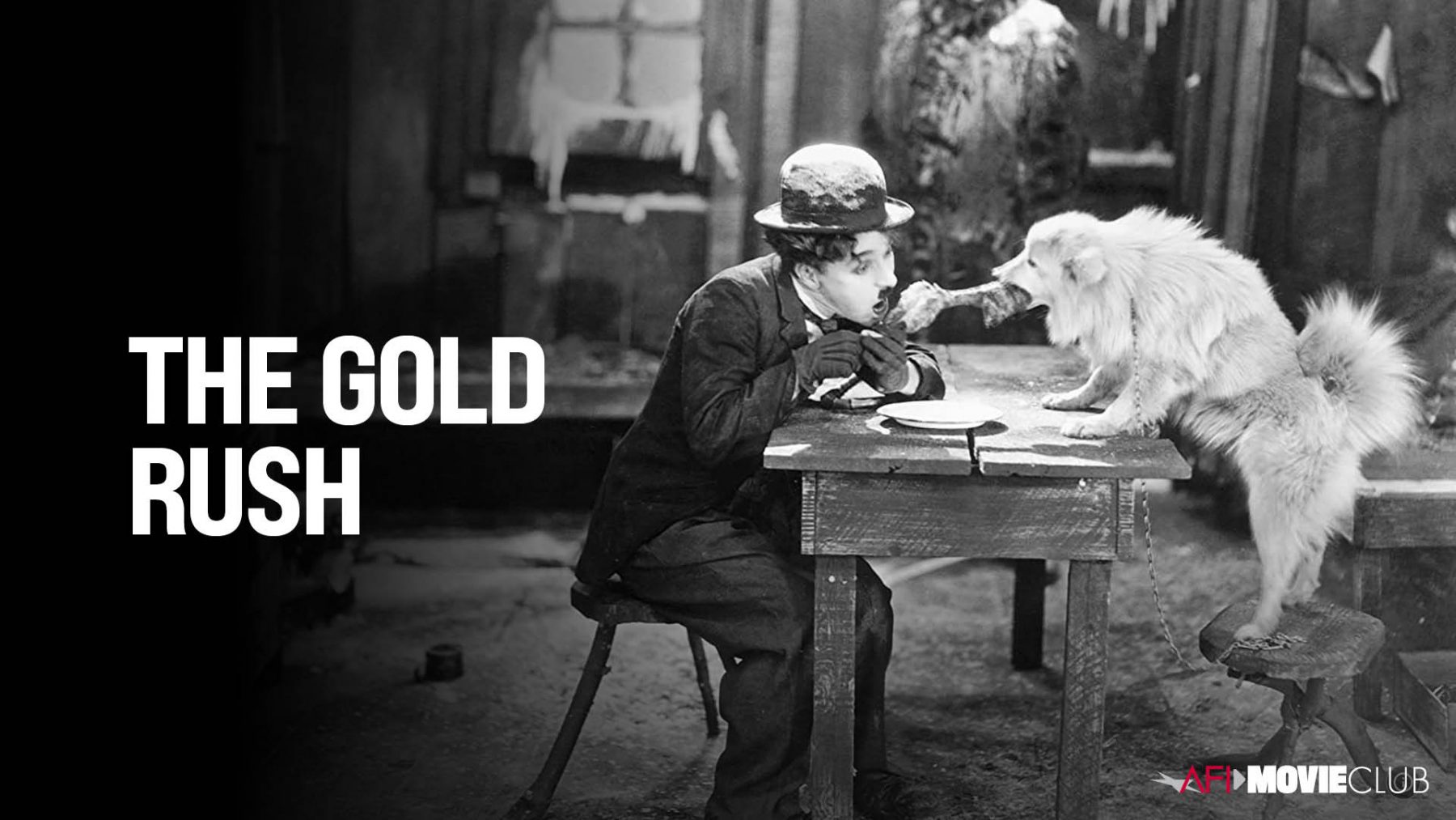 AFI Movie Club THE GOLD RUSH American Film Institute