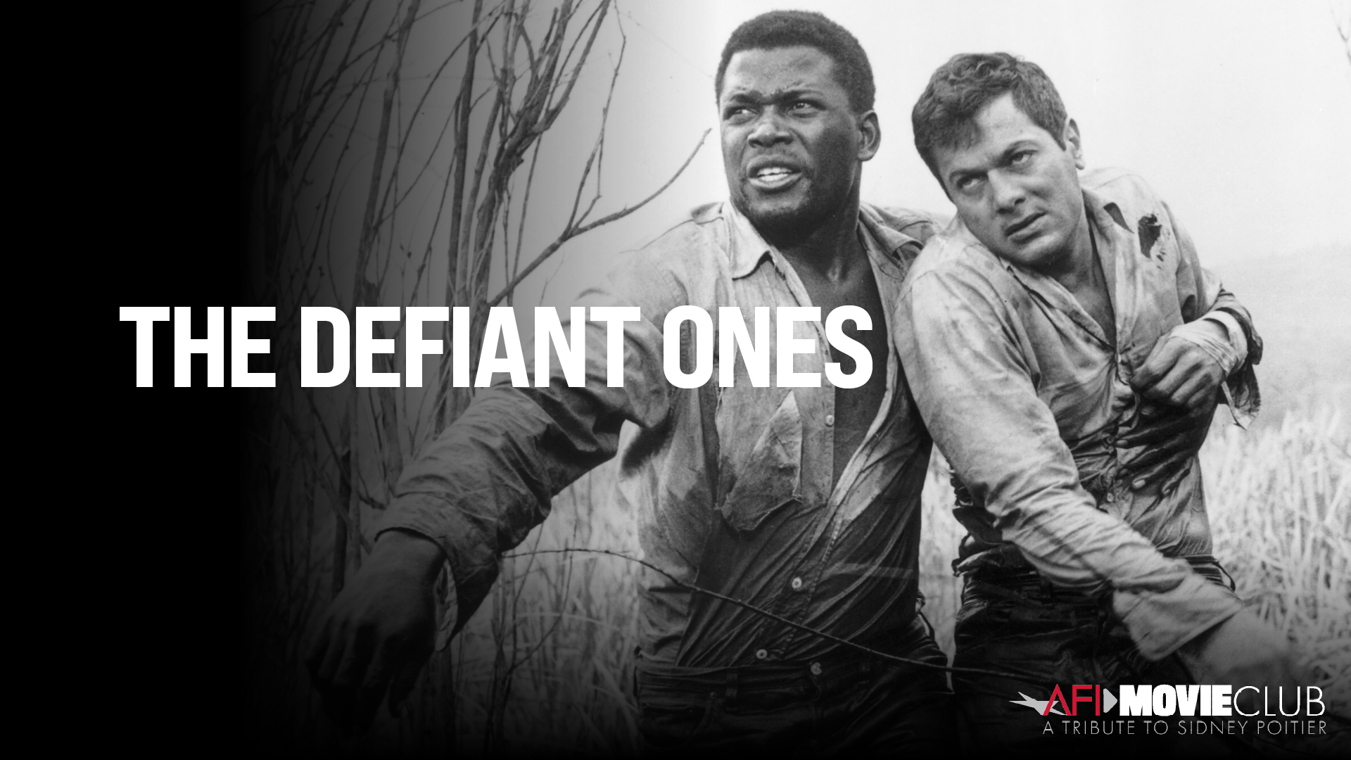 The Defiant Ones Film Still - Tony Curtis and Sidney Poitier