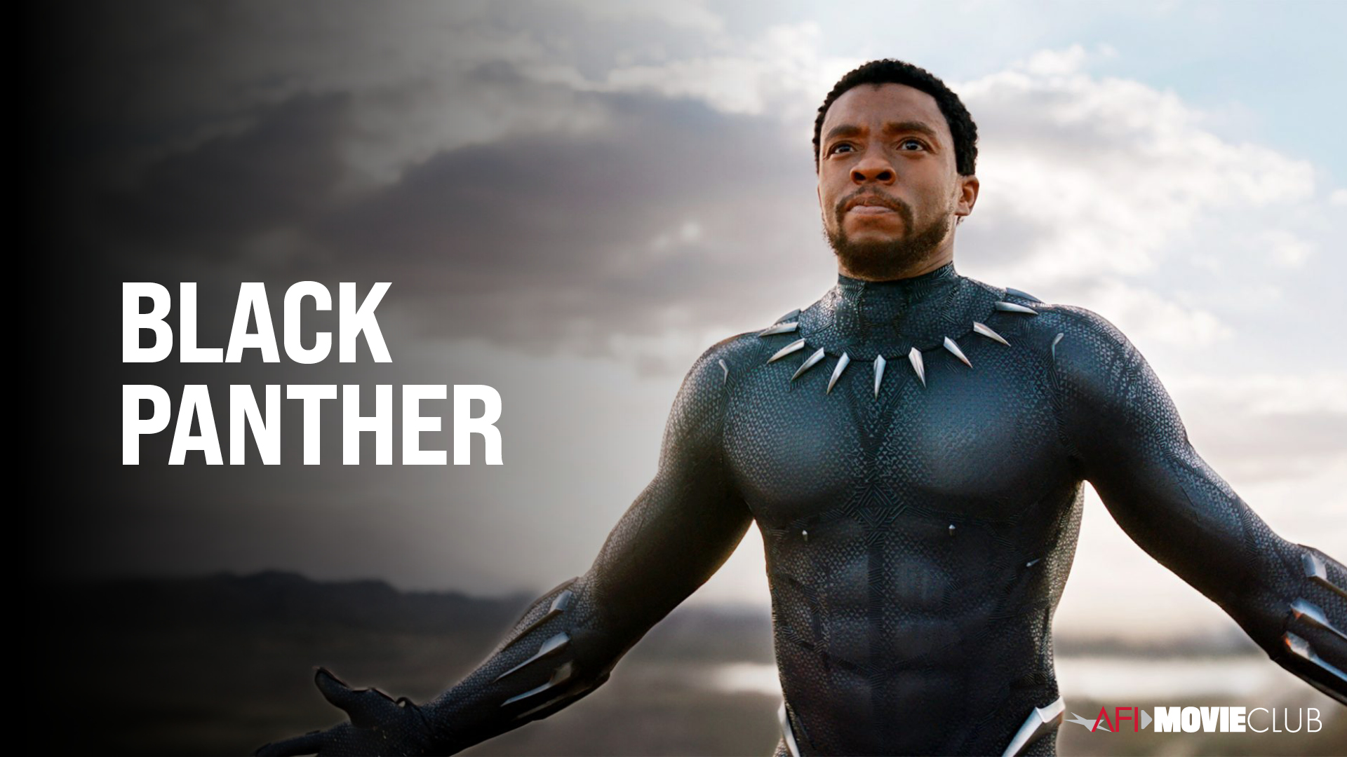 Black Panther Film Still - Chadwick Boseman
