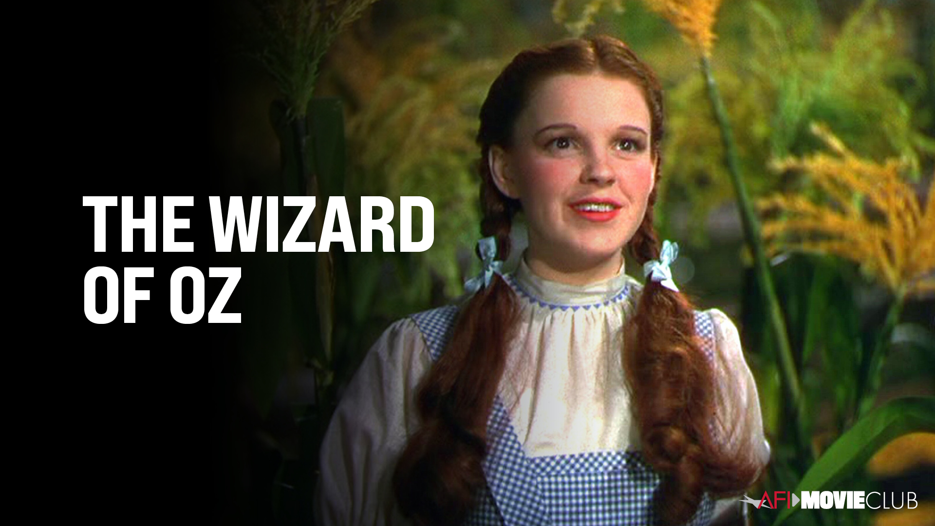 The Wizard of Oz Film Still - Judy Garland