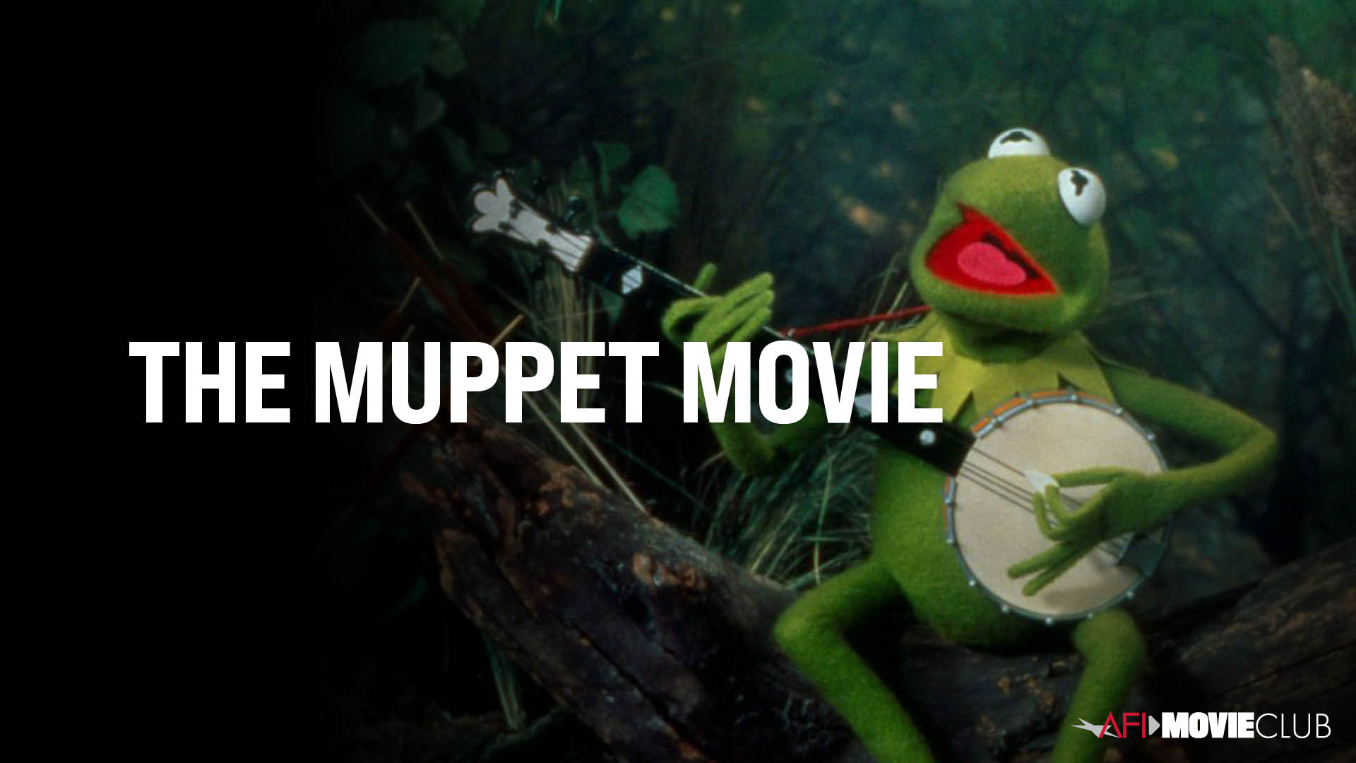 The Muppet Movie Film Still - Kermit the Frog