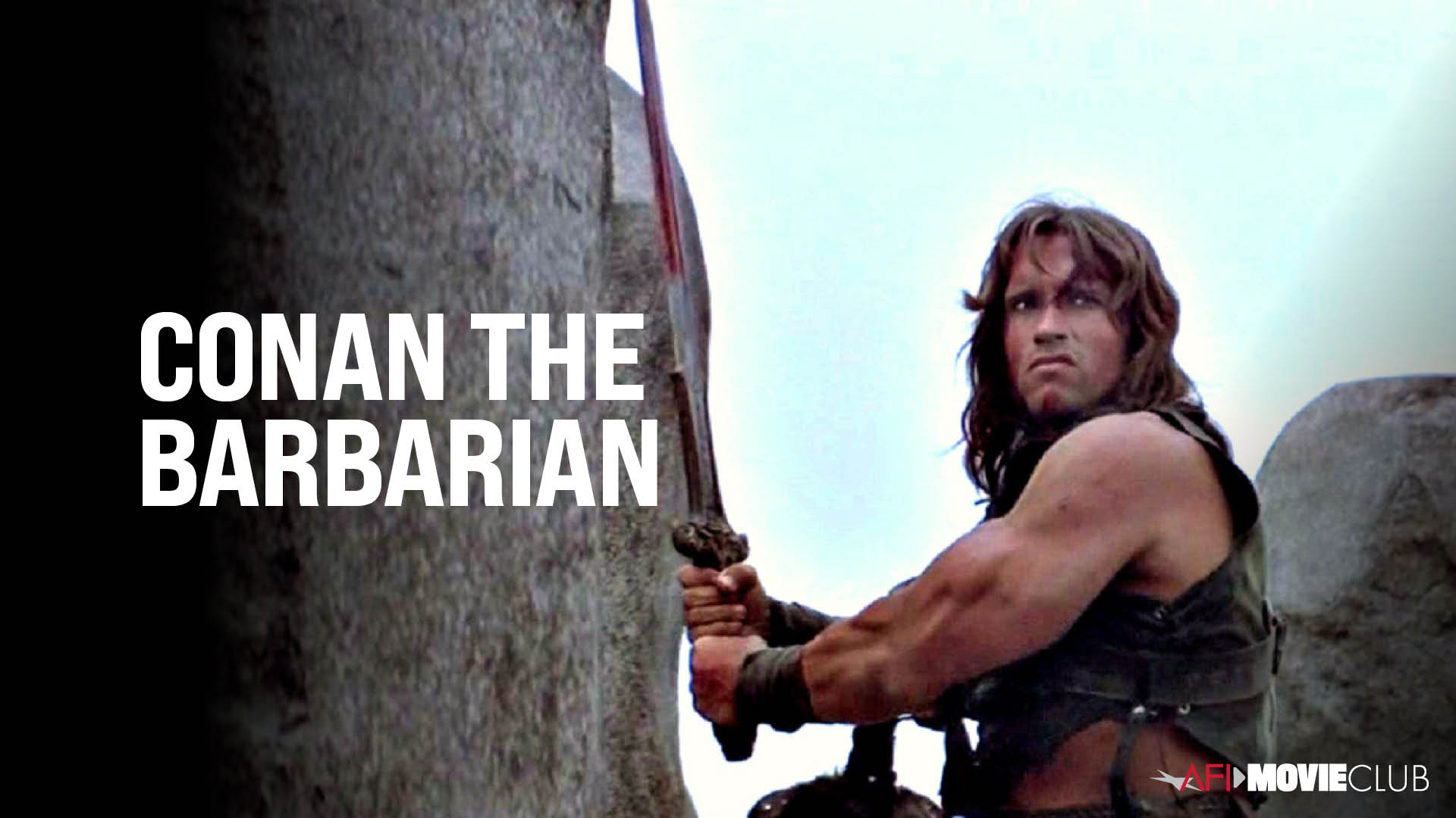 Conan The Barbarian Film Still - Arnold Schwarzenegger