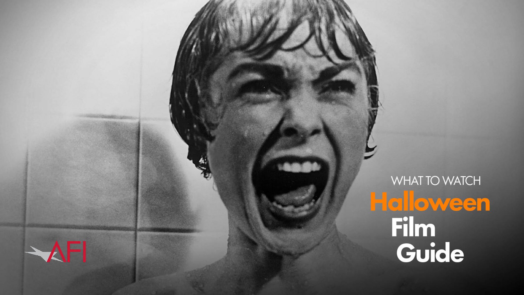 Halloween Movie Guide American Film Institute
