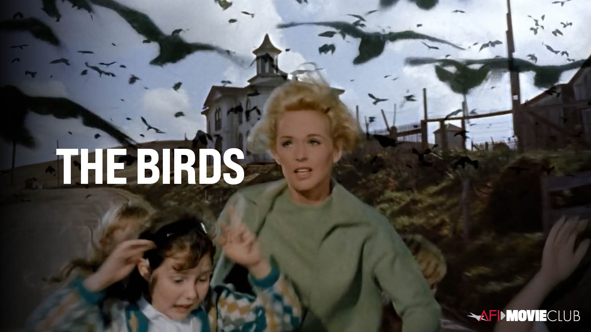 The Birds Film Still - Tippi Hedren