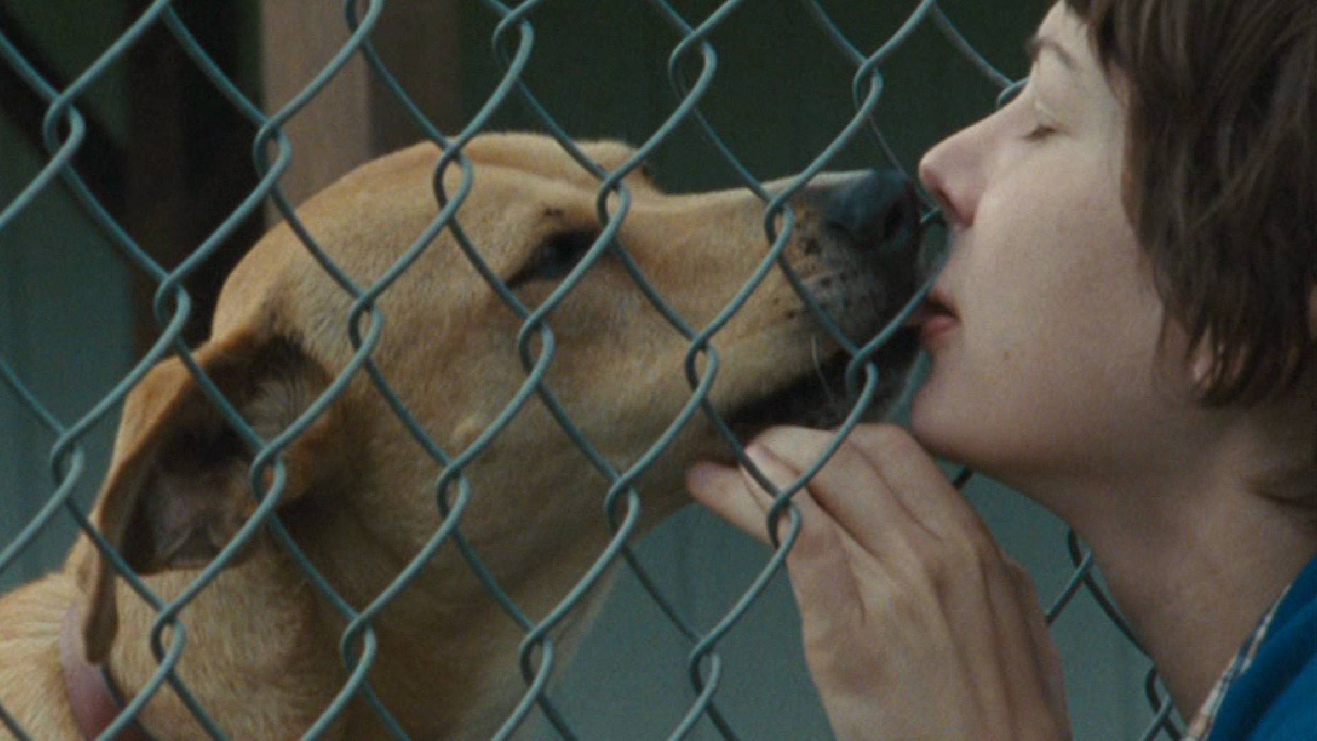 WENDY AND LUCY film still of Michelle Williams and Lucy the dog
