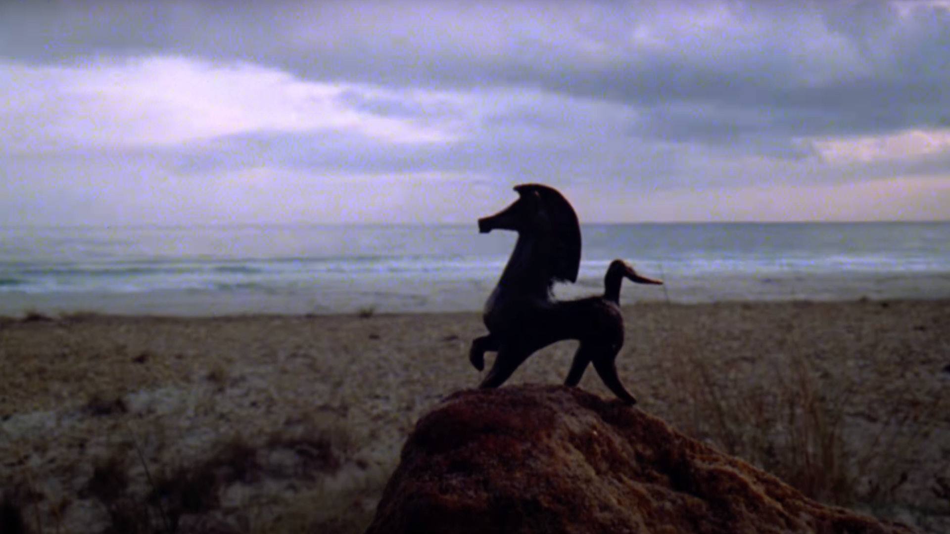 THE BLACK STALLION film still of black horse on a beach