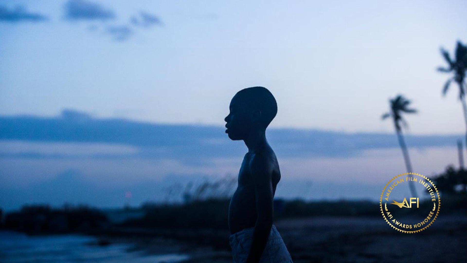 In the corner, the AFI AWARDS logo. A film still from MOONLIGHT. The main character as a young boy, CHIRON, stands on the edge of a beach and looks into the water. He is in profile silhouette against the sky.