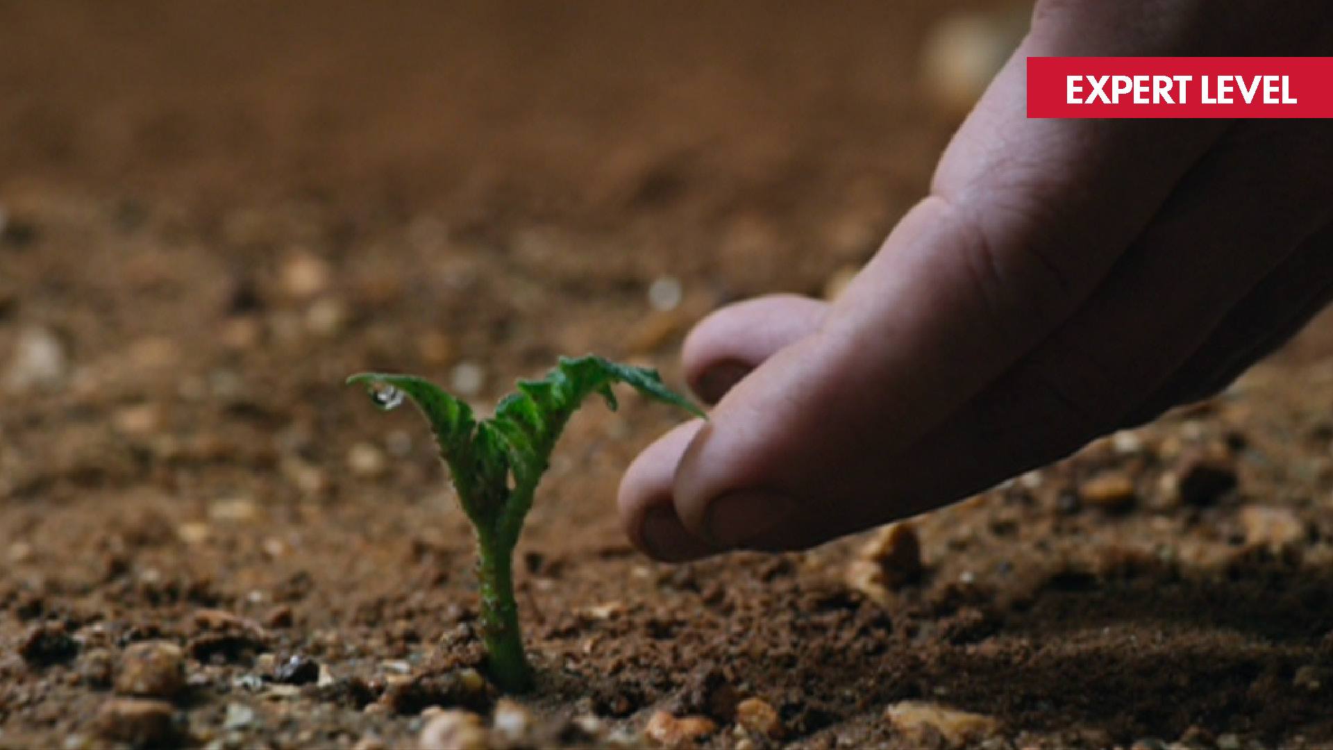 THE MARTIAN film still of a plant sprout