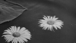 post_image