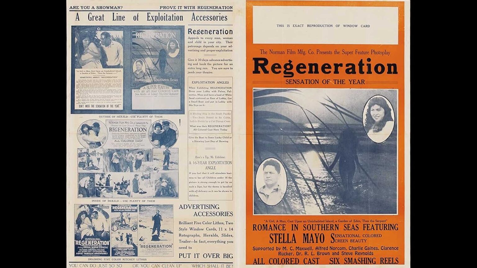 REGENERATION 100th Anniversary AFI Catalog Spotlight American