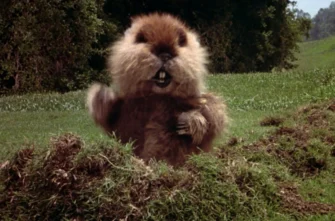 CADDYSHACK film still