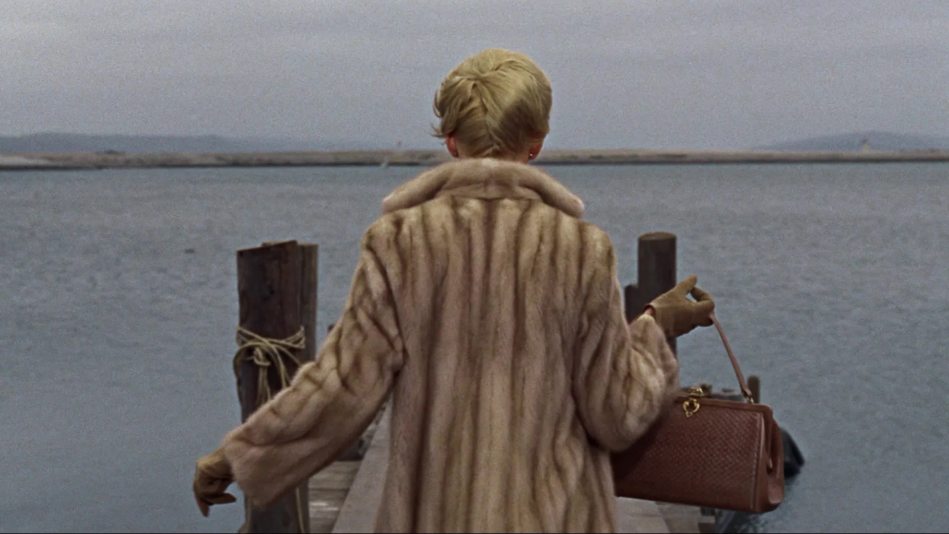 THE BIRDS film still
