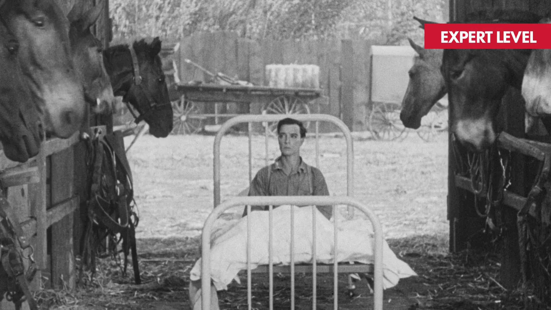 STEAMBOAT BILL JR. film still