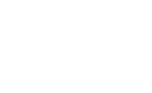 Audi_WHITE