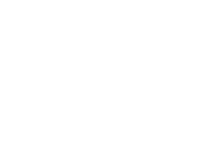 PARTICIPANT_Primary_Logo_RGB_White