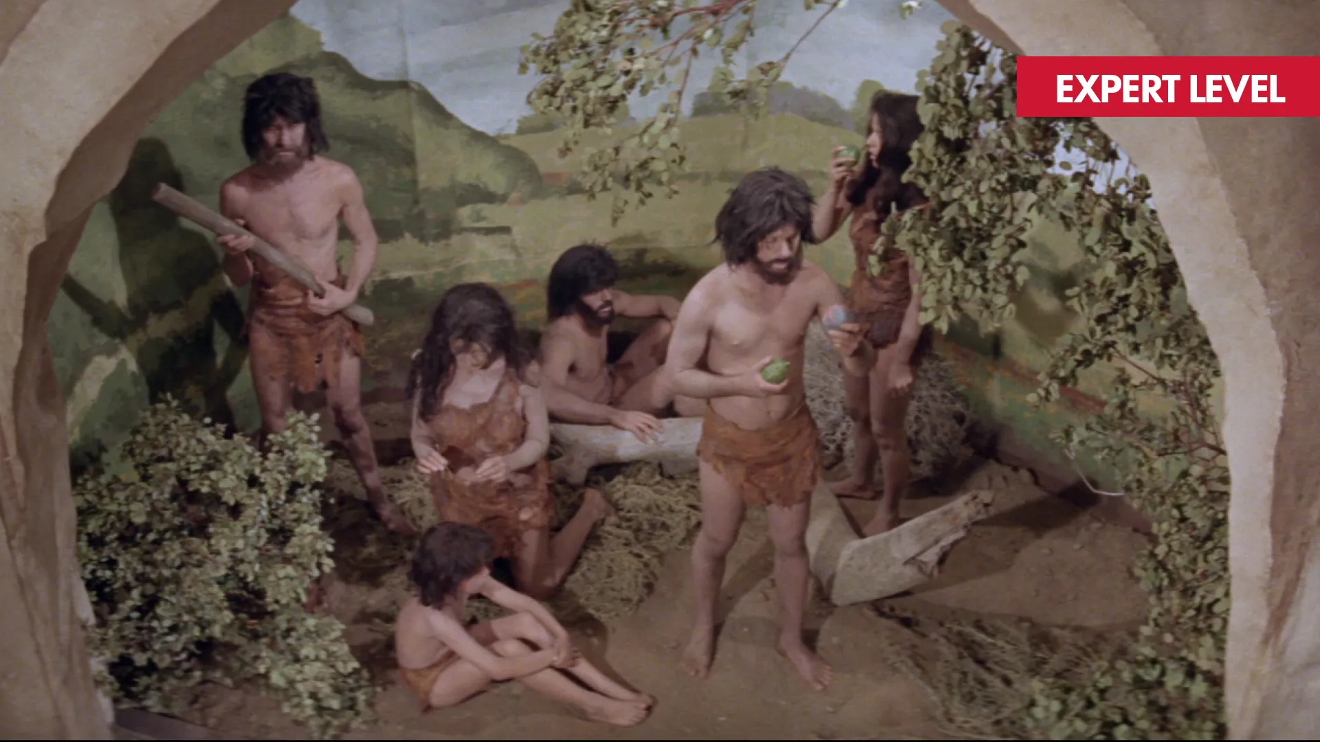 PLANET OF THE APES film still