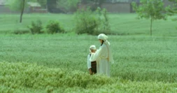 LIVING THE LAND (SHENG XI ZHI DI)