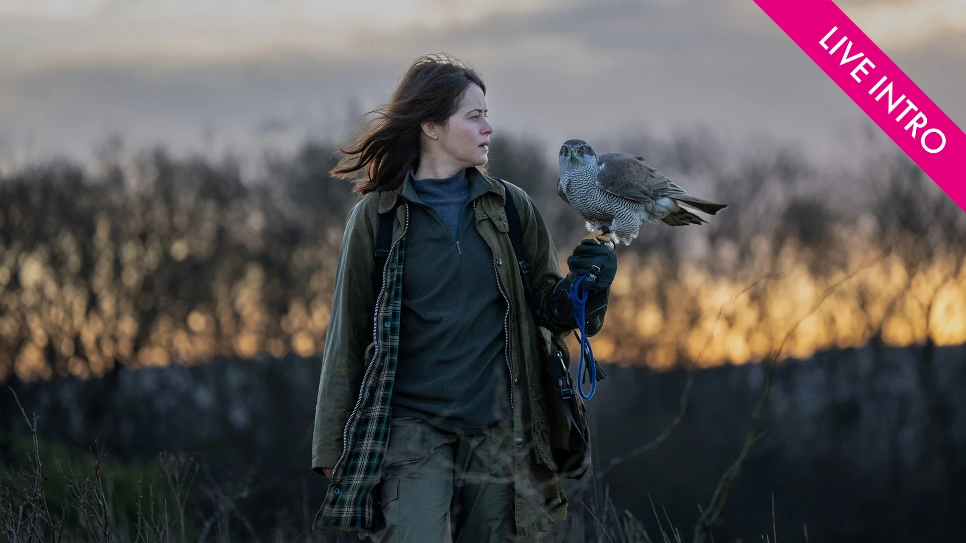 H IS FOR HAWK