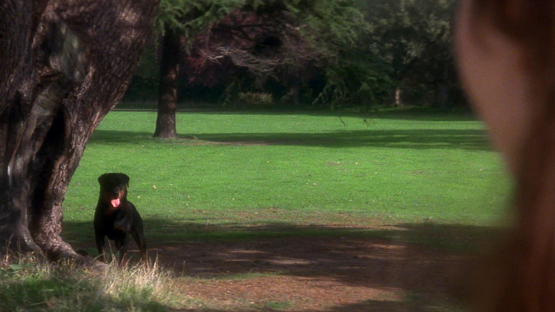 THE OMEN film still