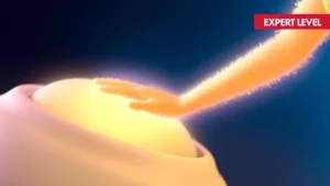 post_image