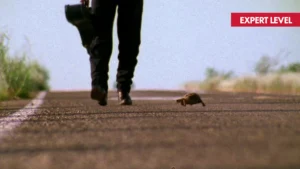 EL MARIACHI film still