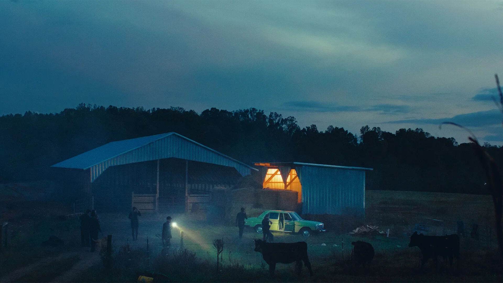 A CRIME ACROSS FOUR LANDSCAPES