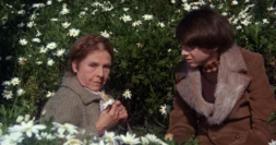 HAROLD AND MAUDE