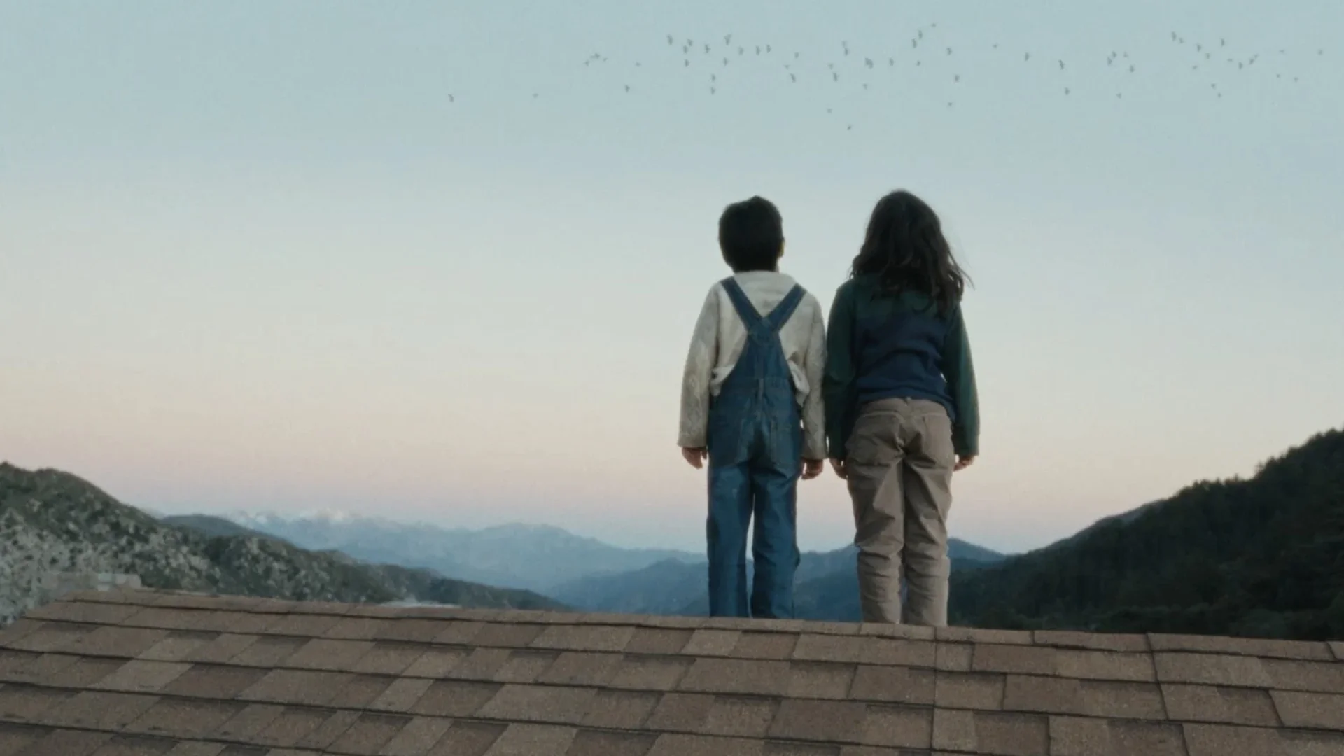 LITTLE BIRDS