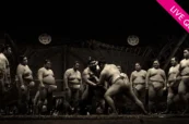 SUMO: